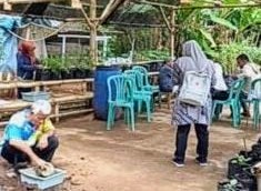 Terapi Hortikultura Untuk Pemulihan Korban Pasca Gempa