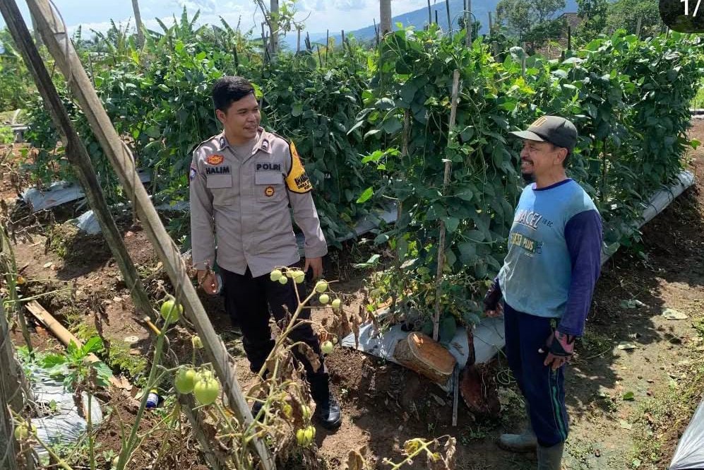 Pantau Ketahanan Pangan,Polres Semarang Dampingi Petani