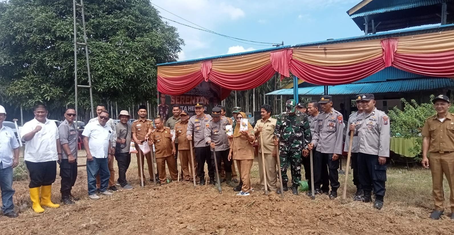 Penanaman Jagung Serentak 1 Juta Hektar Dukung Ketahanan Pangan Nasional