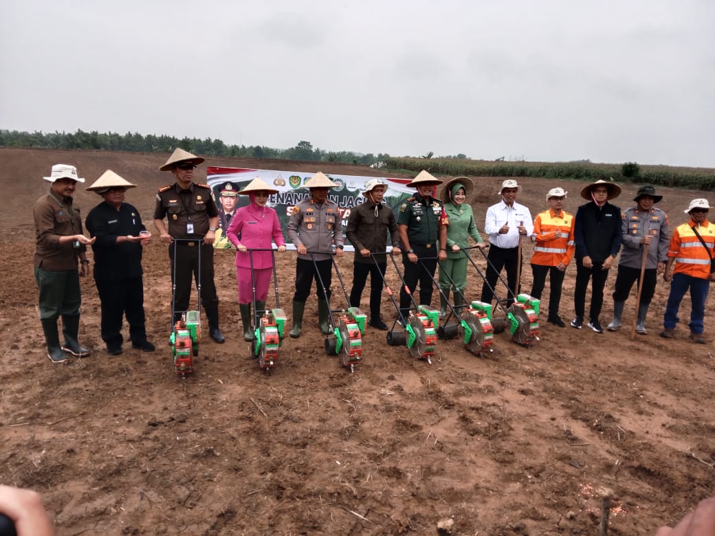 Dukung Swasembada Pangan Polres Indramayu Tanam Jagung Di Areal Kawasan Hutan Perhutani