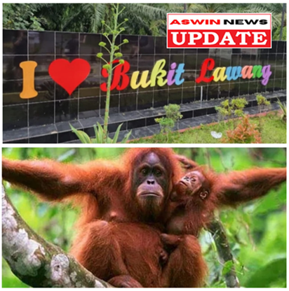 Kaperwil “aswinnews.com” Sumut Lakukan Kunjungan Media ke Wisata Bukit Lawang.