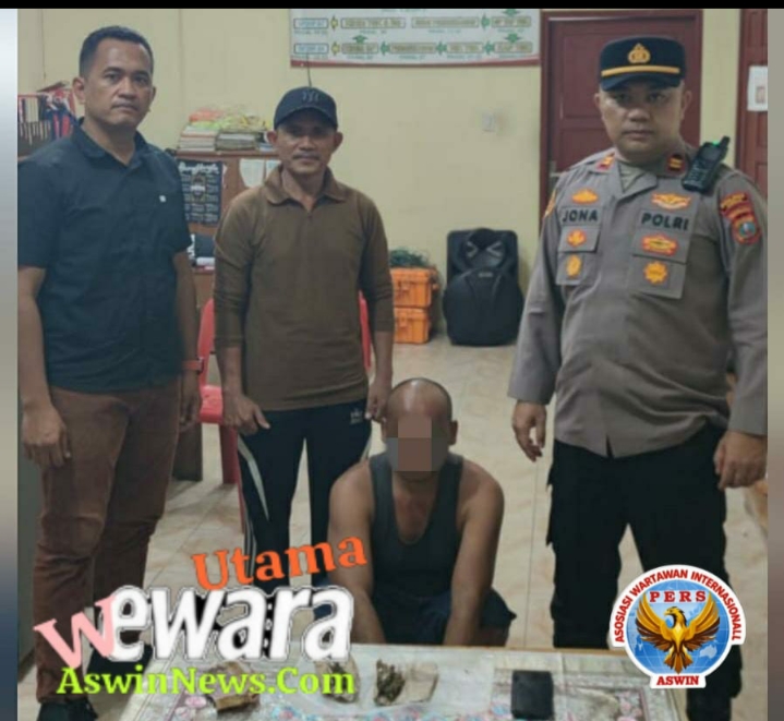 Polsek Gebang Ungkap Peredaran Ganja Dalam Operasi Antik Toba 2026, Satu Pelaku Diamankan