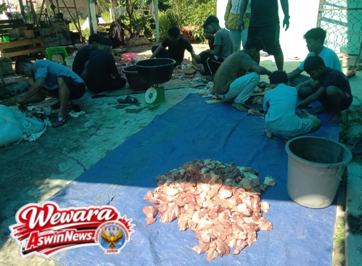 Ketua Harian DPP PSI H Ahmad Ali Salurkan 200 Ekor Sapi Qurban ke Berbagai Wilayah Terdampak Bencana Alam di Sumatera