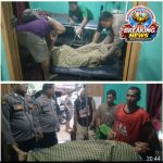 ​Hendak Memanen Sawit, Seorang Petani di Bahorok Tersengat Aliran Listrik