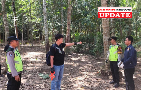 Pria di Puring Tewas Terjatuh dari Pohon Kelapa saat Menderes