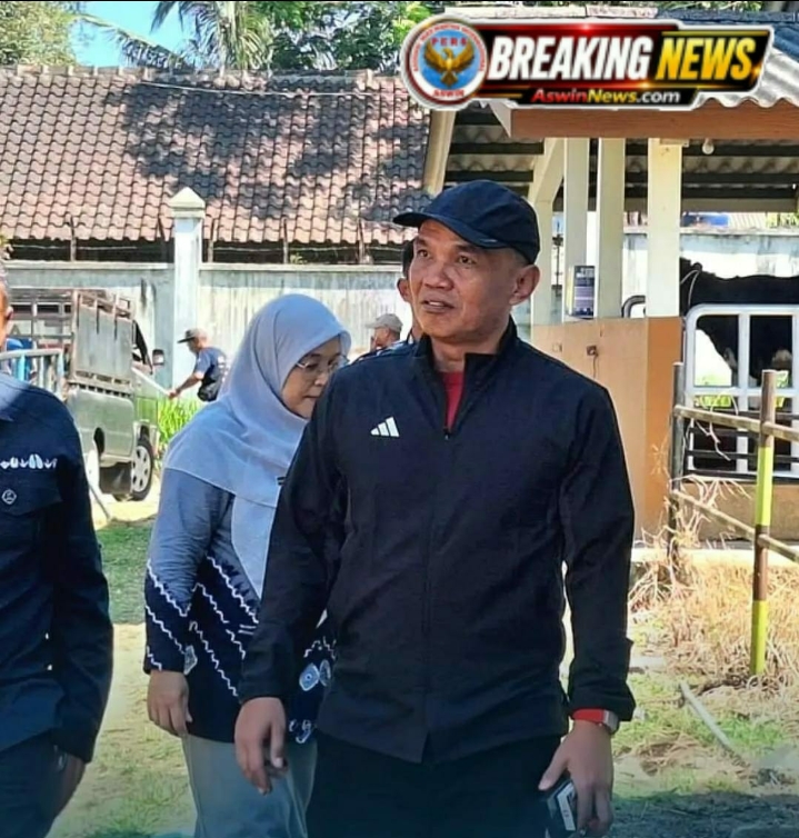 Jawa Tengah Jadi Sentral Penyangga Ternak Ayam Nasional, Ketua DPRD Jateng Dorong Pengembangan Ayam Maron