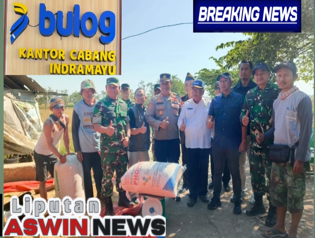 Bulog Bersama DKPP Juga Kodim 0616/Indramayu Perkuat Pengawasan dan Serap GKP Petani