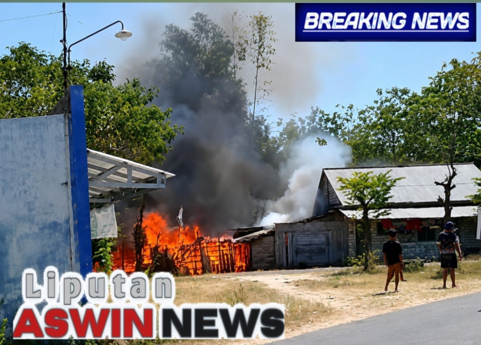 Si Jago Merah Lalap Permukiman Di Dukuh Jeruk, Rembang